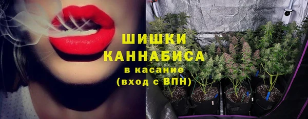 амф Аркадак