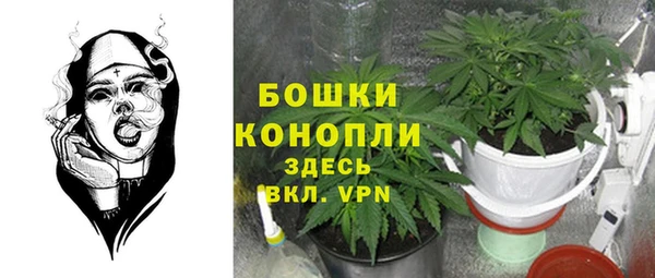амф Аркадак