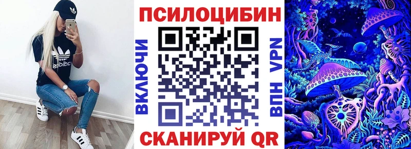 мега   купить   Горячеводский  Псилоцибиновые грибы Cubensis 